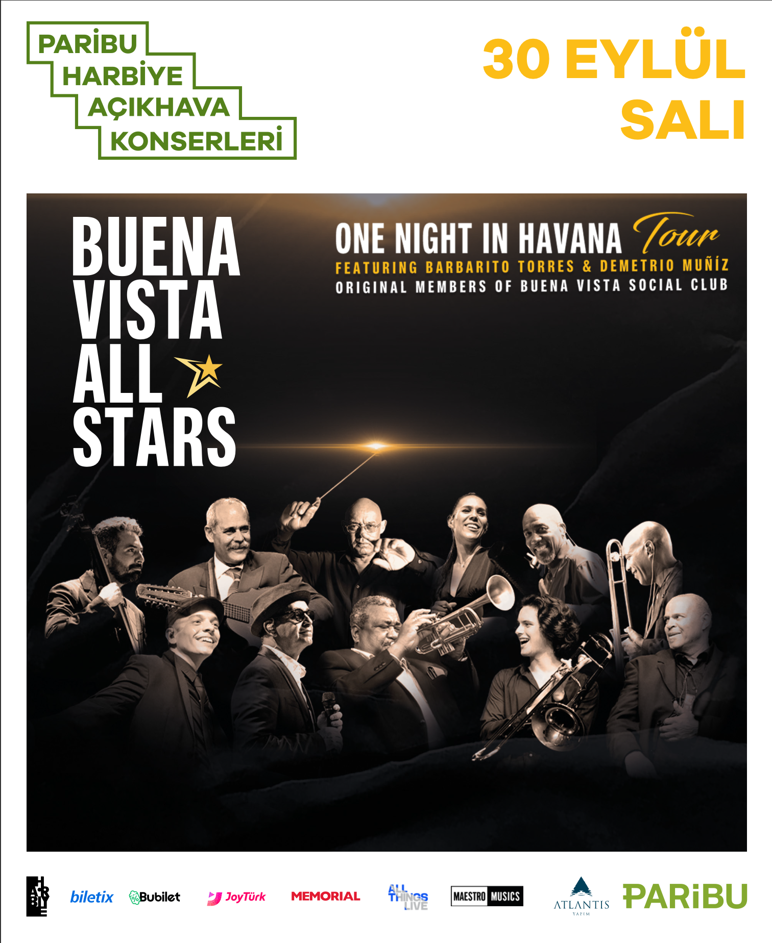 Buena Vista All Stars Concert